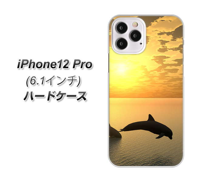 iPhone12 Pro 高画質仕上げ 背面印刷 ハードケース 【VA845 夕暮れのドルフィン】