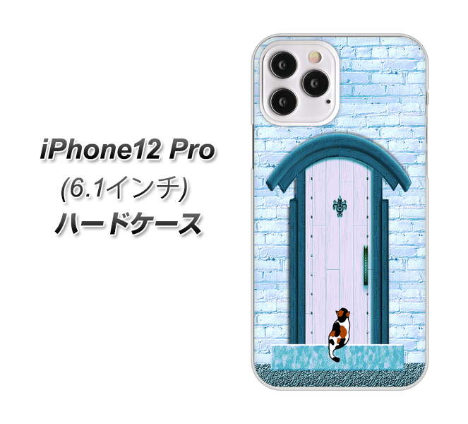 iPhone12 Pro 高画質仕上げ 背面印刷 ハードケース【YA953 石ドア03 素材クリア】