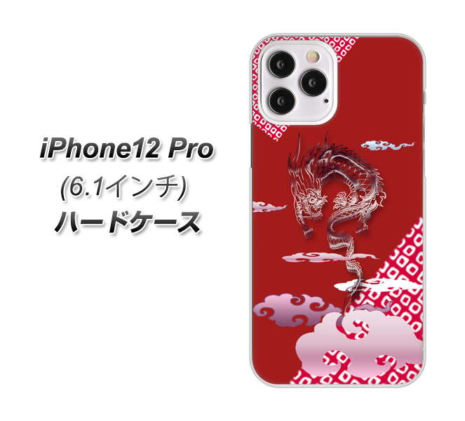 iPhone12 Pro 高画質仕上げ 背面印刷 ハードケース【YC907 雲竜02】