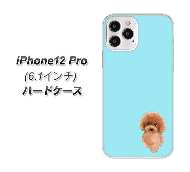 iPhone12 Pro 高画質仕上げ 背面印刷 ハードケース【YJ050 トイプードルレッド(ブルー)】