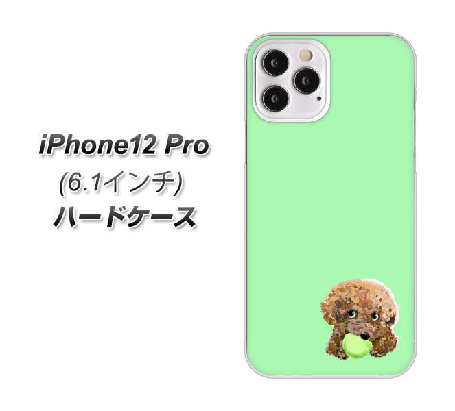 iPhone12 Pro 高画質仕上げ 背面印刷 ハードケース【YJ055 トイプードル&ボール(グリーン)】