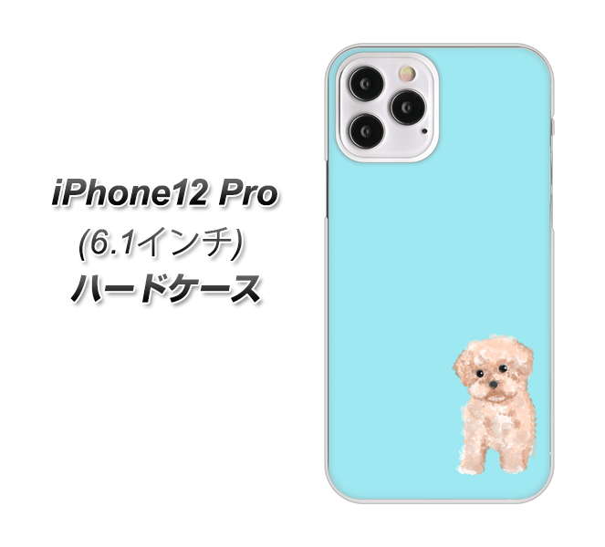 iPhone12 Pro 高画質仕上げ 背面印刷 ハードケース【YJ062 トイプードルアプリコット(ブルー)】