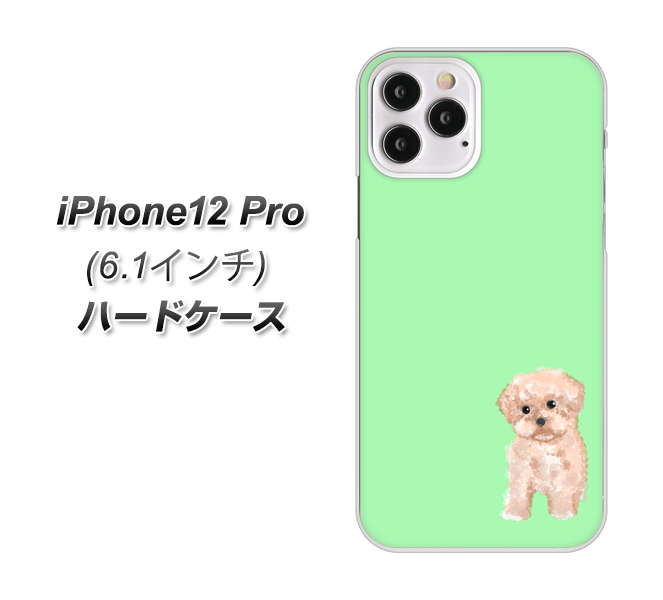 iPhone12 Pro 高画質仕上げ 背面印刷 ハードケース【YJ063 トイプードルアプリコット(グリーン)】