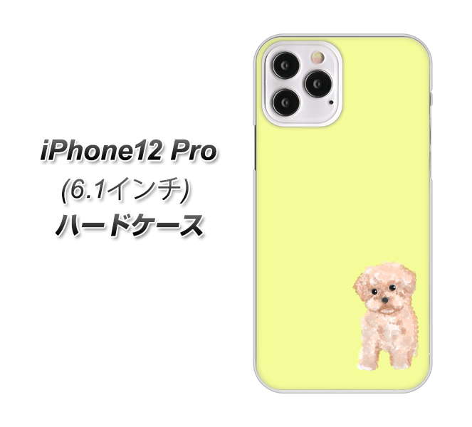iPhone12 Pro 高画質仕上げ 背面印刷 ハードケース【YJ064 トイプードルアプリコット(イエロー)】