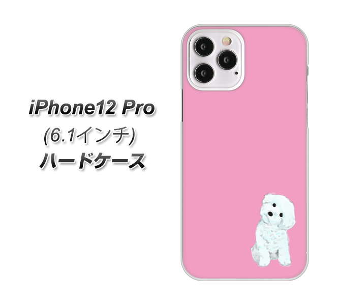 iPhone12 Pro 高画質仕上げ 背面印刷 ハードケース【YJ069 トイプードルホワイト(ピンク)】