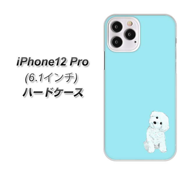 iPhone12 Pro 高画質仕上げ 背面印刷 ハードケース【YJ070 トイプードルホワイト(ブルー)】