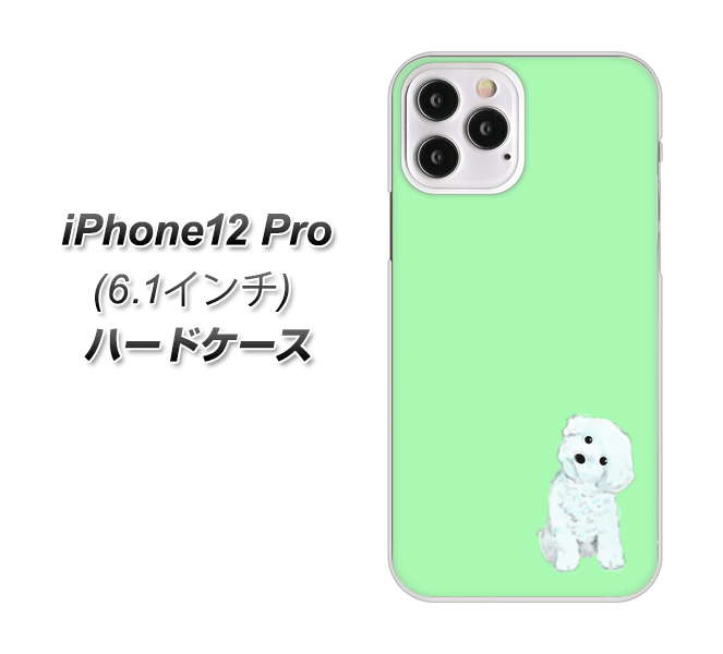 iPhone12 Pro 高画質仕上げ 背面印刷 ハードケース【YJ071 トイプードルホワイト(グリーン)】