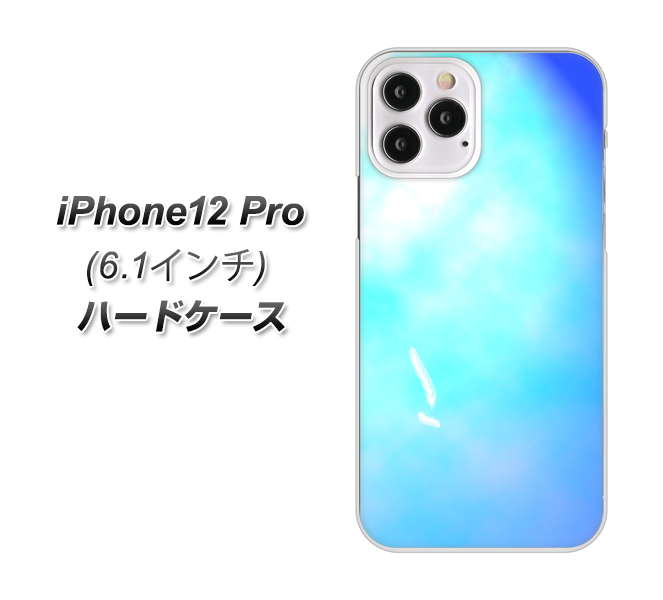 iPhone12 Pro 高画質仕上げ 背面印刷 ハードケース【YJ291 デザイン 光】