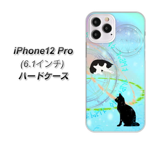 iPhone12 Pro 高画質仕上げ 背面印刷 ハードケース【YJ329 魔法陣猫 キラキラ パステル】
