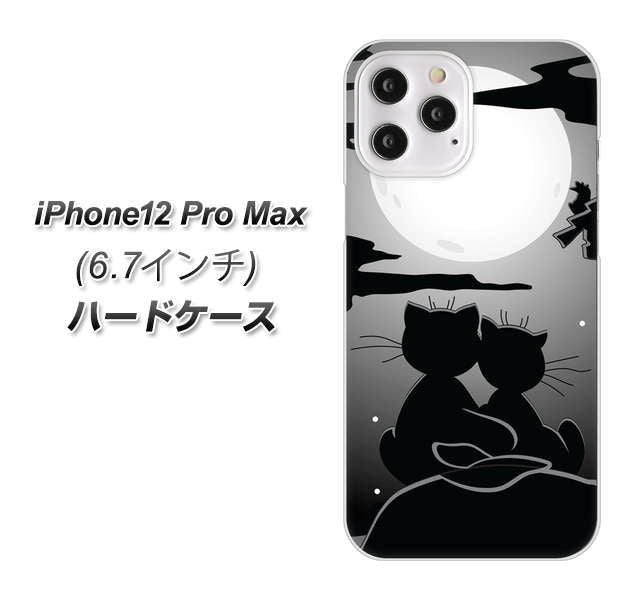 iPhone12 Pro Max 高画質仕上げ 背面印刷 ハードケース【342 月夜の二人】