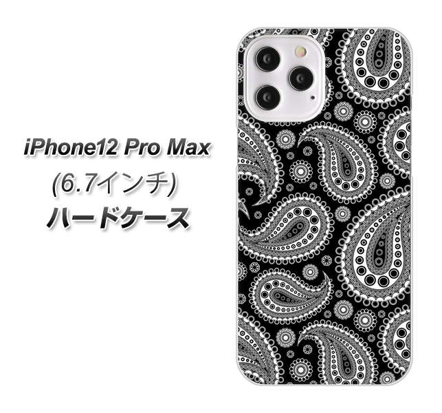 iPhone12 Pro Max 高画質仕上げ 背面印刷 ハードケース【421 ベイズリー】
