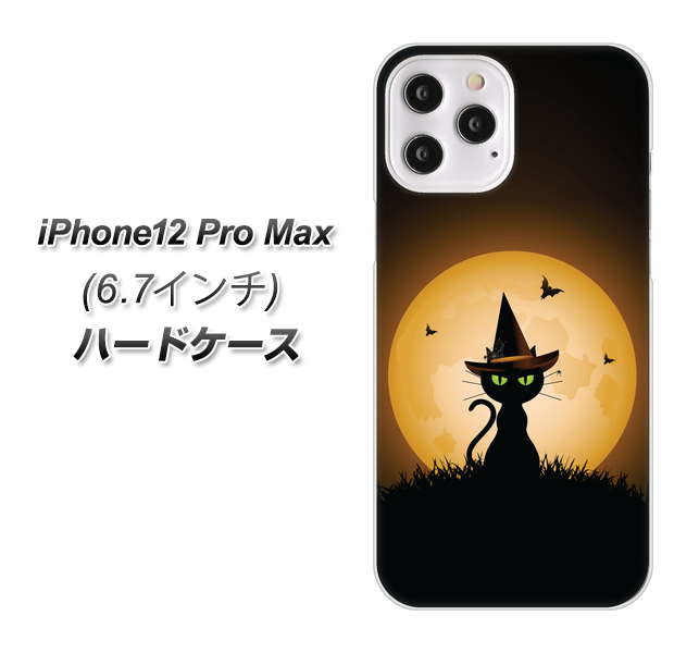 iPhone12 Pro Max 高画質仕上げ 背面印刷 ハードケース【440 猫の魔法使い】