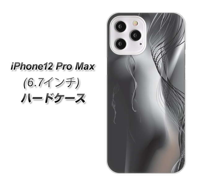 iPhone12 Pro Max 高画質仕上げ 背面印刷 ハードケース 【566 ボディウォール】