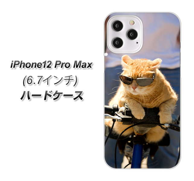 iPhone12 Pro Max 高画質仕上げ 背面印刷 ハードケース 【595 にゃんとサイクル】