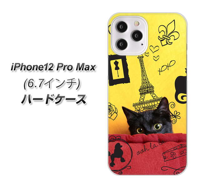 iPhone12 Pro Max 高画質仕上げ 背面印刷 ハードケース【686 パリの子猫】