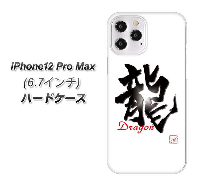 iPhone12 Pro Max 高画質仕上げ 背面印刷 ハードケース【OE804 龍ノ書】