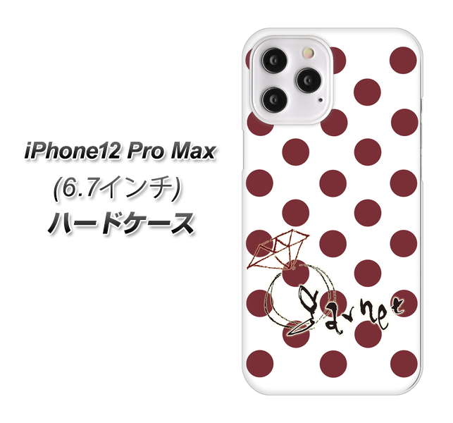 iPhone12 Pro Max 高画質仕上げ 背面印刷 ハードケース【OE810 1月ガーネット】