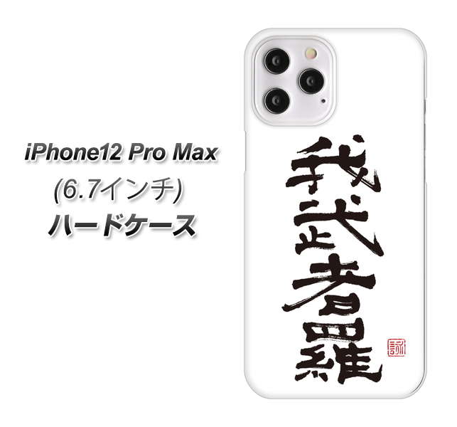 iPhone12 Pro Max 高画質仕上げ 背面印刷 ハードケース【OE843 我武者羅(がむしゃら)】