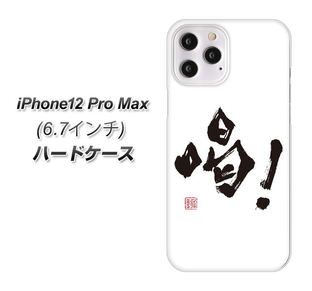 iPhone12 Pro Max 高画質仕上げ 背面印刷 ハードケース【OE845 喝!】