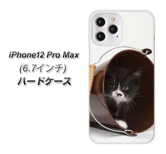 iPhone12 Pro Max 高画質仕上げ 背面印刷 ハードケース 【VA800 ネコとバケツ】
