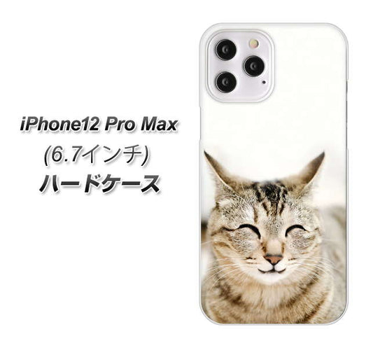 iPhone12 Pro Max 高画質仕上げ 背面印刷 ハードケース 【VA801 笑福ねこ】