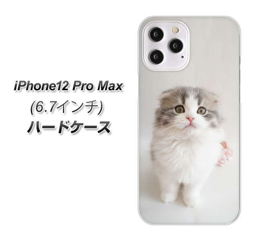 iPhone12 Pro Max 高画質仕上げ 背面印刷 ハードケース 【VA803 まっていますネコ】