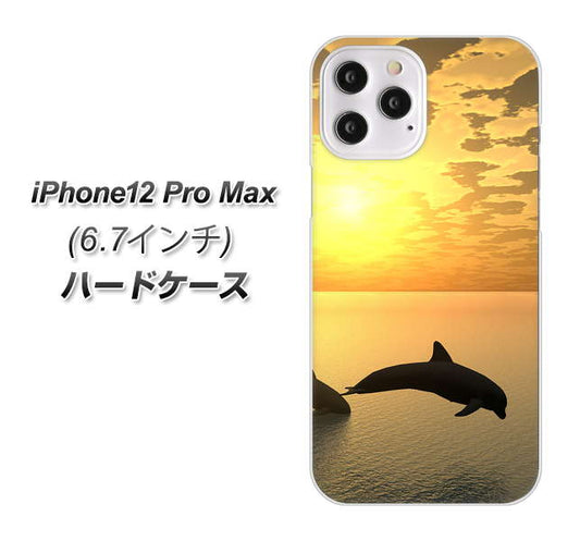 iPhone12 Pro Max 高画質仕上げ 背面印刷 ハードケース 【VA845 夕暮れのドルフィン】