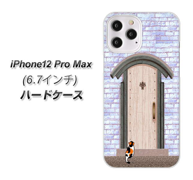 iPhone12 Pro Max 高画質仕上げ 背面印刷 ハードケース【YA952 石ドア02 素材クリア】