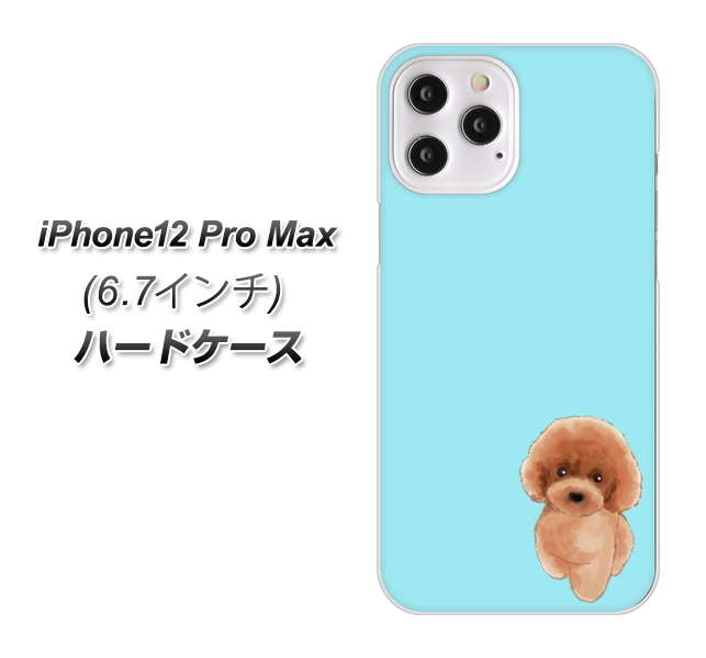 iPhone12 Pro Max 高画質仕上げ 背面印刷 ハードケース【YJ050 トイプードルレッド(ブルー)】