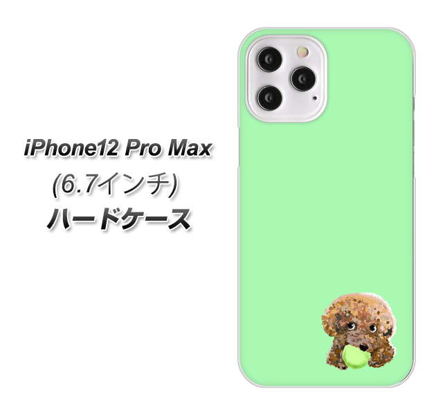 iPhone12 Pro Max 高画質仕上げ 背面印刷 ハードケース【YJ055 トイプードル&ボール(グリーン)】