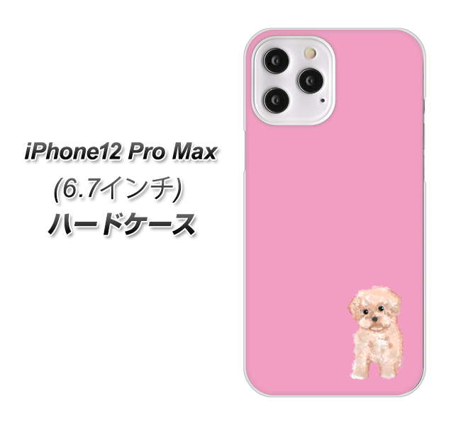 iPhone12 Pro Max 高画質仕上げ 背面印刷 ハードケース【YJ061 トイプードルアプリコット(ピンク)】