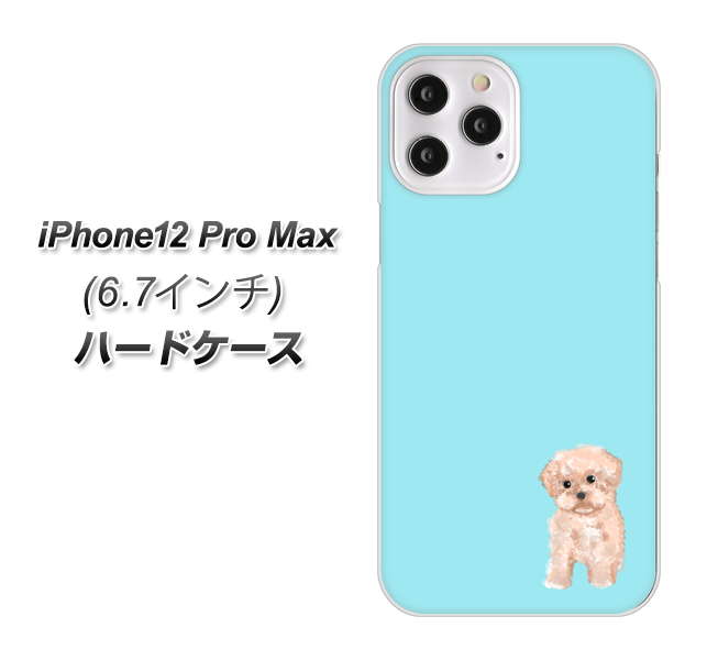 iPhone12 Pro Max 高画質仕上げ 背面印刷 ハードケース【YJ062 トイプードルアプリコット(ブルー)】