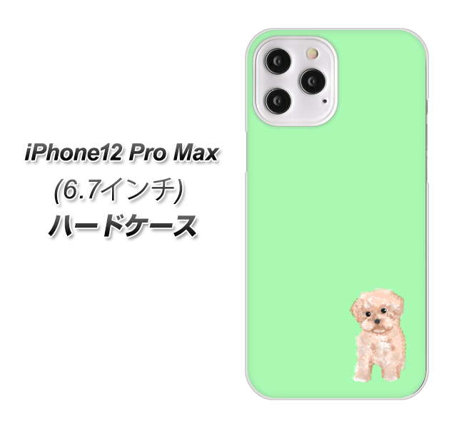 iPhone12 Pro Max 高画質仕上げ 背面印刷 ハードケース【YJ063 トイプードルアプリコット(グリーン)】