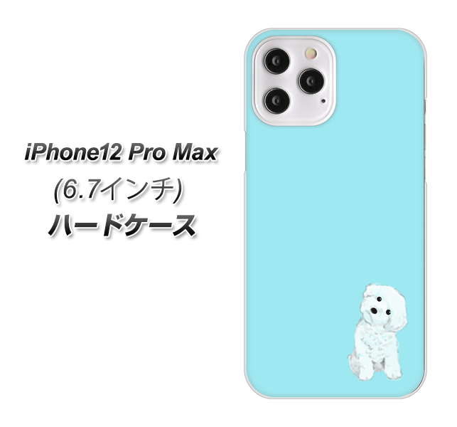 iPhone12 Pro Max 高画質仕上げ 背面印刷 ハードケース【YJ070 トイプードルホワイト(ブルー)】