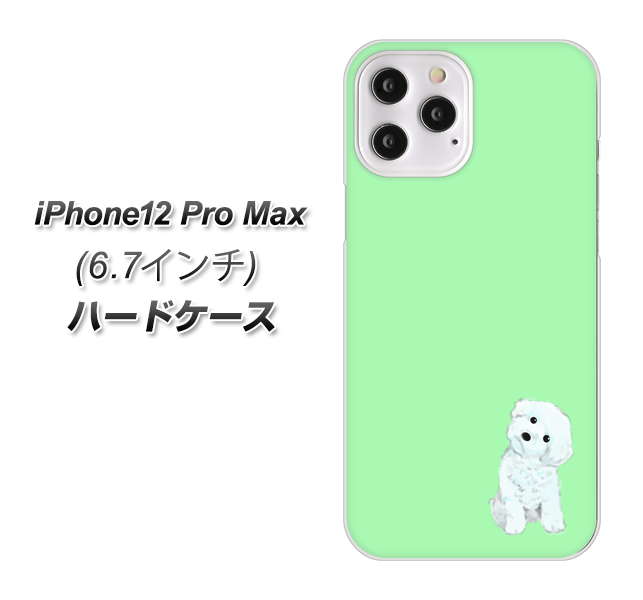 iPhone12 Pro Max 高画質仕上げ 背面印刷 ハードケース【YJ071 トイプードルホワイト(グリーン)】