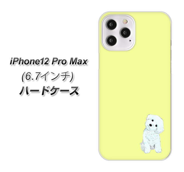 iPhone12 Pro Max 高画質仕上げ 背面印刷 ハードケース【YJ072 トイプードルホワイト(イエロー)】