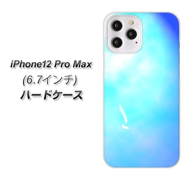 iPhone12 Pro Max 高画質仕上げ 背面印刷 ハードケース【YJ291 デザイン 光】