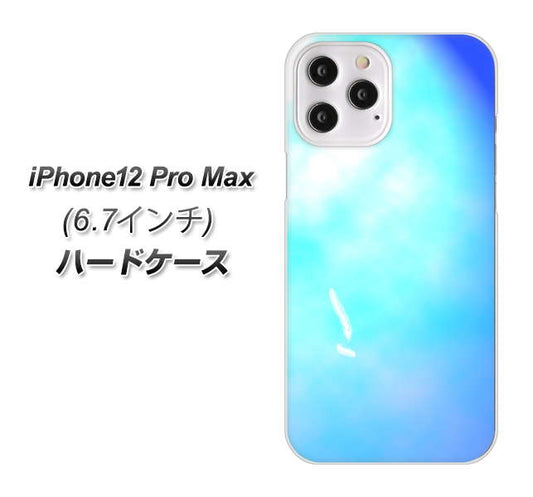 iPhone12 Pro Max 高画質仕上げ 背面印刷 ハードケース【YJ291 デザイン　光】