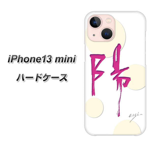 iPhone13 mini 高画質仕上げ 背面印刷 ハードケース【OE833 陽】