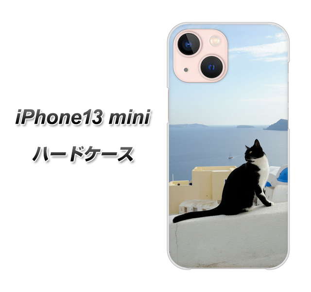 iPhone13 mini 高画質仕上げ 背面印刷 ハードケース【VA805 ネコと地中海】