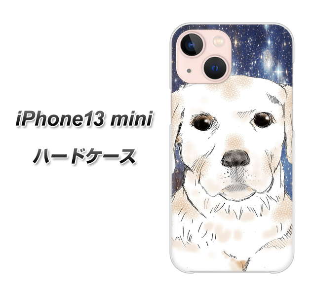 iPhone13 mini 高画質仕上げ 背面印刷 ハードケース【YD820 ラブラドールレトリバー01】