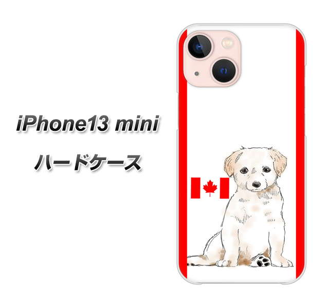 iPhone13 mini 高画質仕上げ 背面印刷 ハードケース【YD824 ラブラドールレトリバー05】