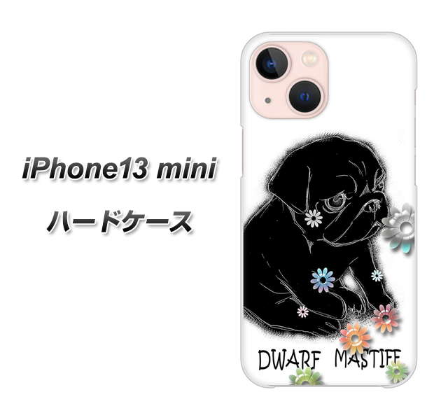 iPhone13 mini 高画質仕上げ 背面印刷 ハードケース【YD859 パグ05】