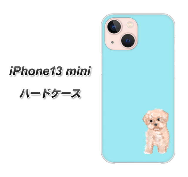 iPhone13 mini 高画質仕上げ 背面印刷 ハードケース【YJ062 トイプードルアプリコット(ブルー)】