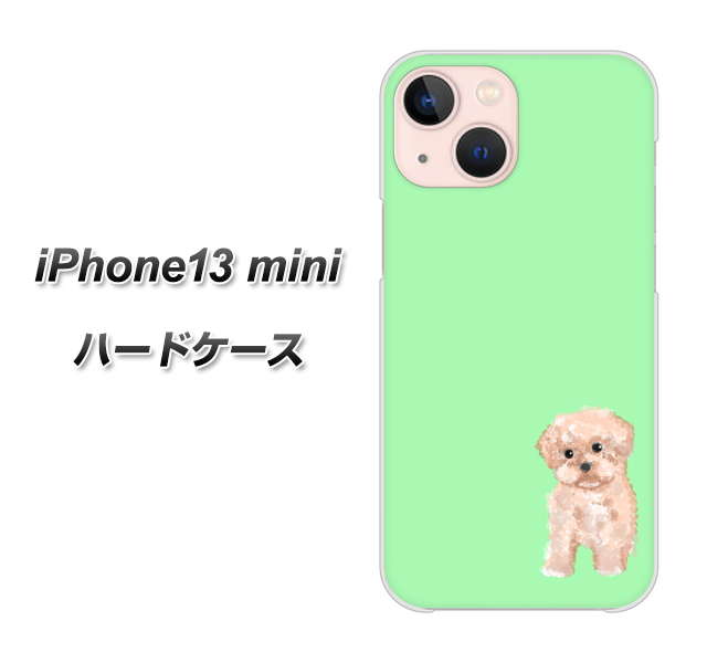 iPhone13 mini 高画質仕上げ 背面印刷 ハードケース【YJ063 トイプードルアプリコット(グリーン)】