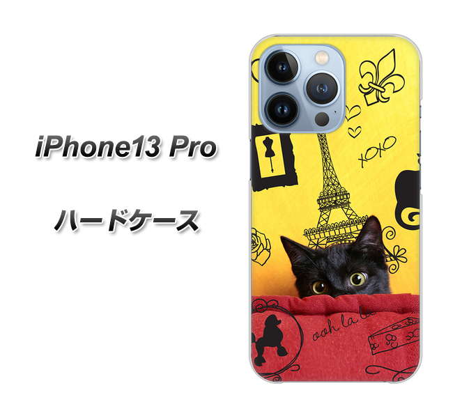 iPhone13 Pro 高画質仕上げ 背面印刷 ハードケース【686 パリの子猫】