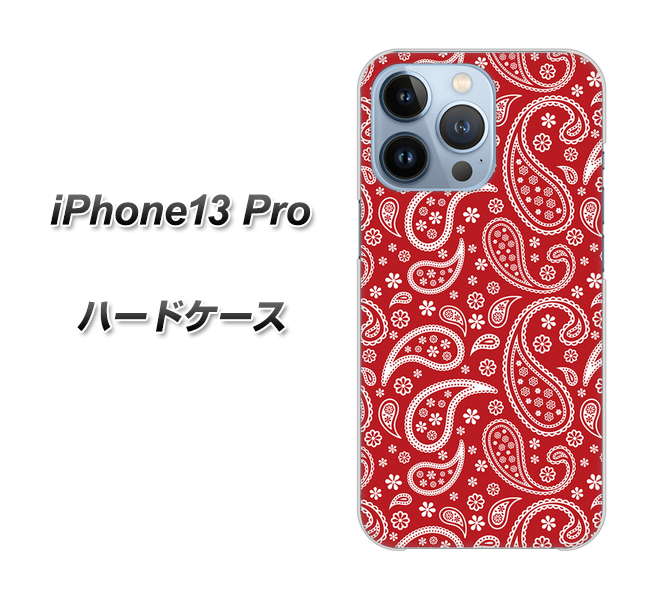 iPhone13 Pro 高画質仕上げ 背面印刷 ハードケース【765 ペイズリーエンジ】
