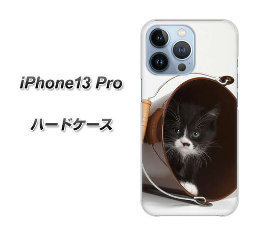 iPhone13 Pro 高画質仕上げ 背面印刷 ハードケース【VA800 ネコとバケツ】