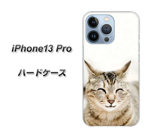 iPhone13 Pro 高画質仕上げ 背面印刷 ハードケース【VA801 笑福ねこ】