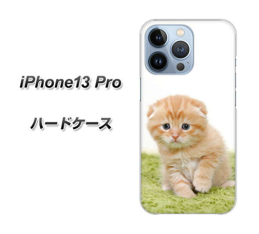 iPhone13 Pro 高画質仕上げ 背面印刷 ハードケース【VA802 ネコこっそり】